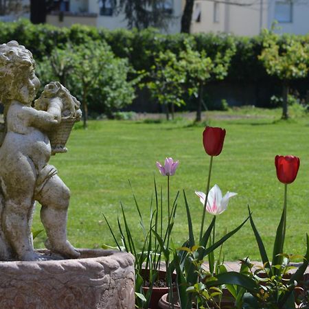 Villa Camilla - Tiny - Exclusive Pool ルッカ エクステリア 写真